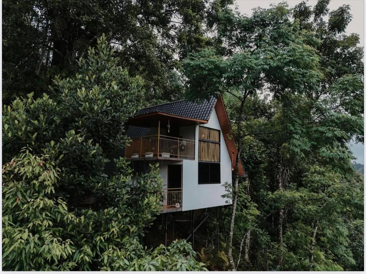 Anachal Wild Stories By Bestinn Leisure - Munnar