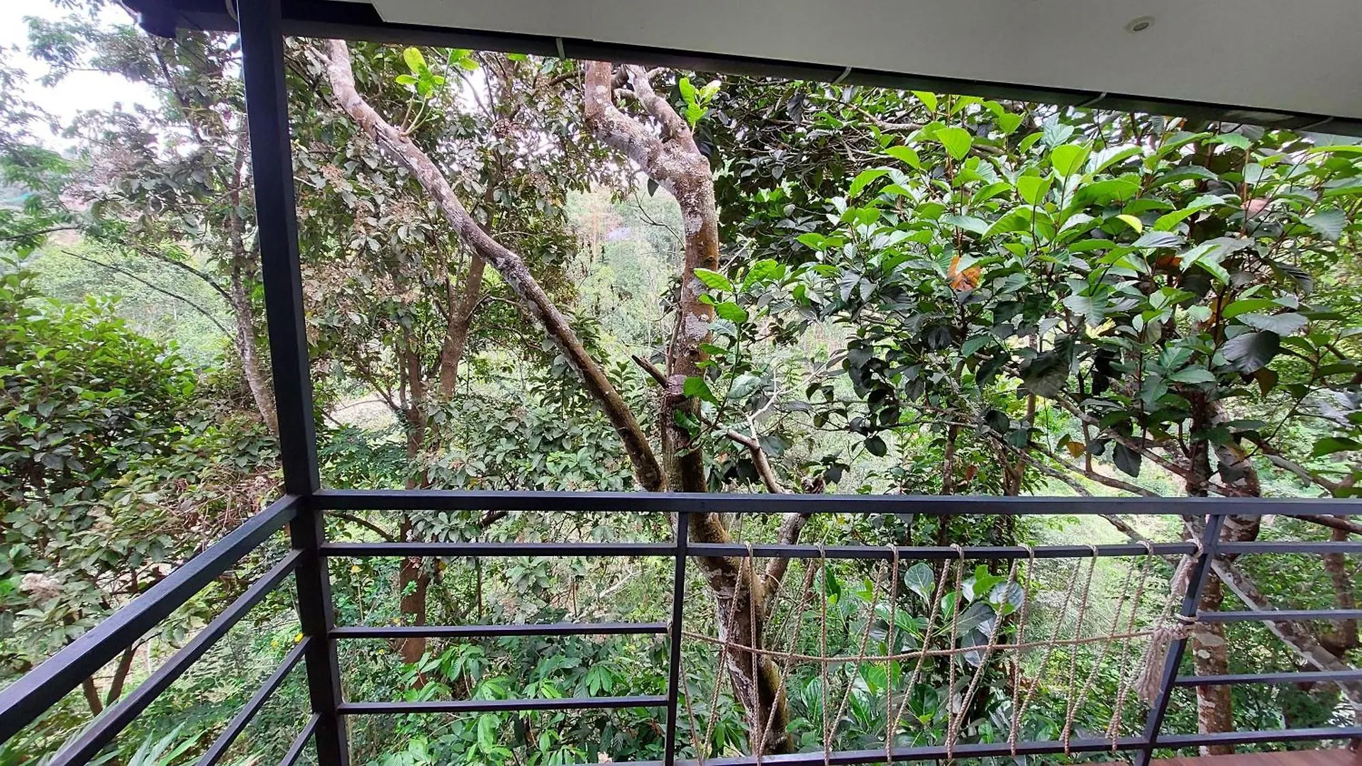 Anachal Wild Stories By Bestinn Leisure - Munnar הודו